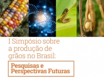 I Simpósio sobre produção de grãos no Brasil abre inscrições